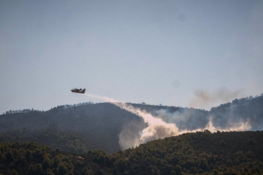 Φωτιά στην Εύβοια